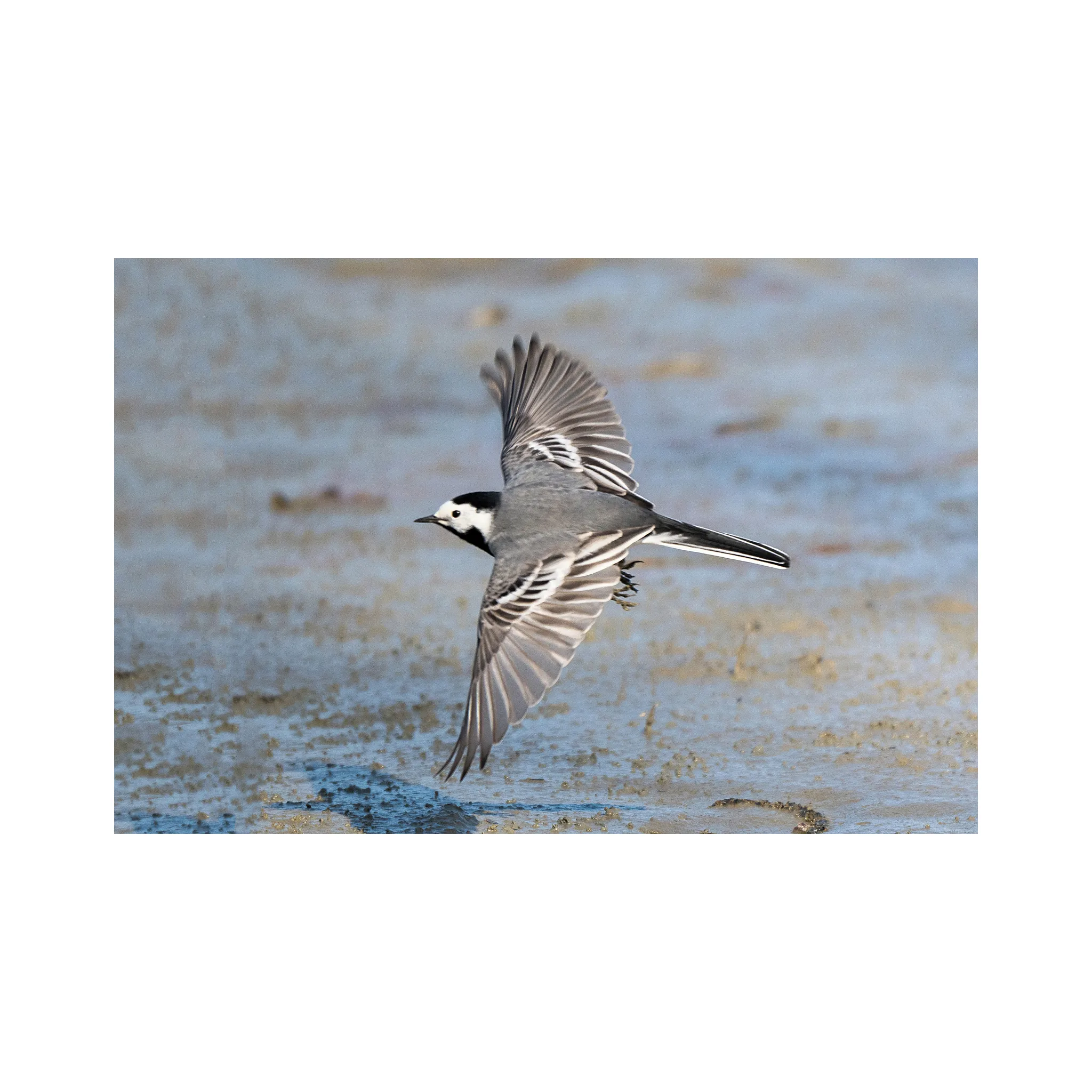 Fotografie 10 - Objektiv Nikon Z 180-600 mm f/5,6-6,3 VR