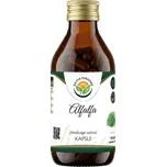 Salvia Paradise Alfalfa vojtěška kapsle