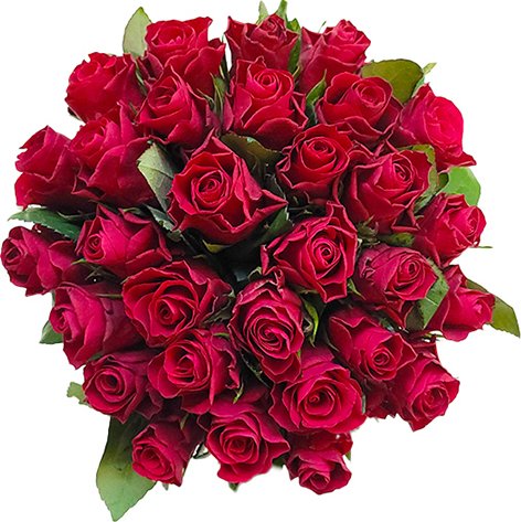 Rozvoz květin - 30 červených růží 40cm