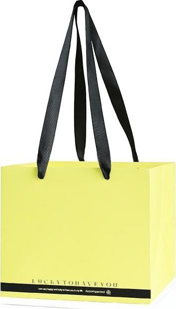 Floristická taška FB12264 26x26x24cm 10 kusů v balení - 5 světle žlutá