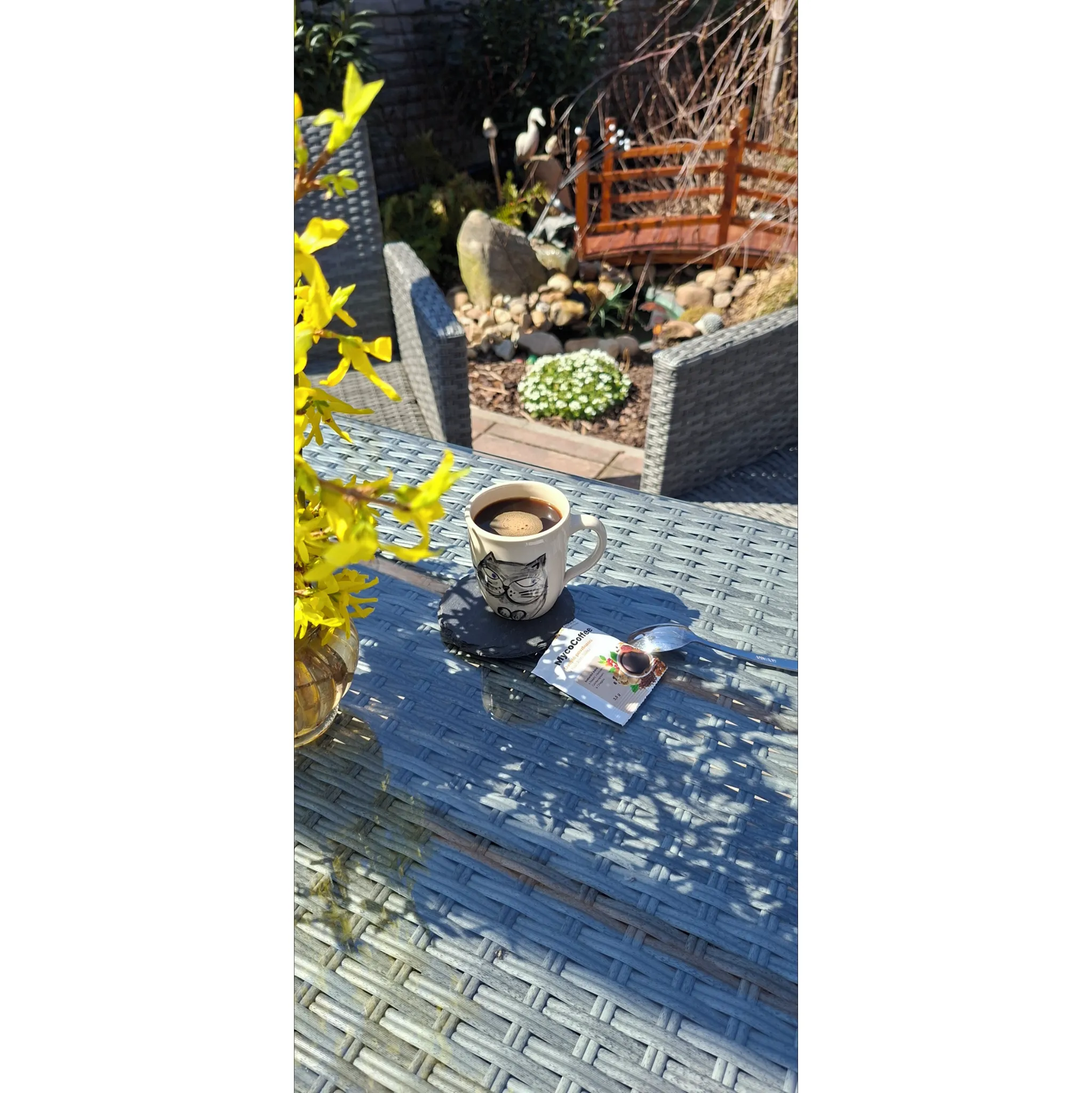 Fotografie 2 - Přírodní produkt MycoMedica MycoCoffe 70 g