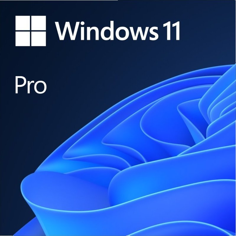 Microsoft Windows 11 Pro (elektronická licence) - druhotná
