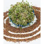 Toraf Kosmická směs semínka na klíčení…