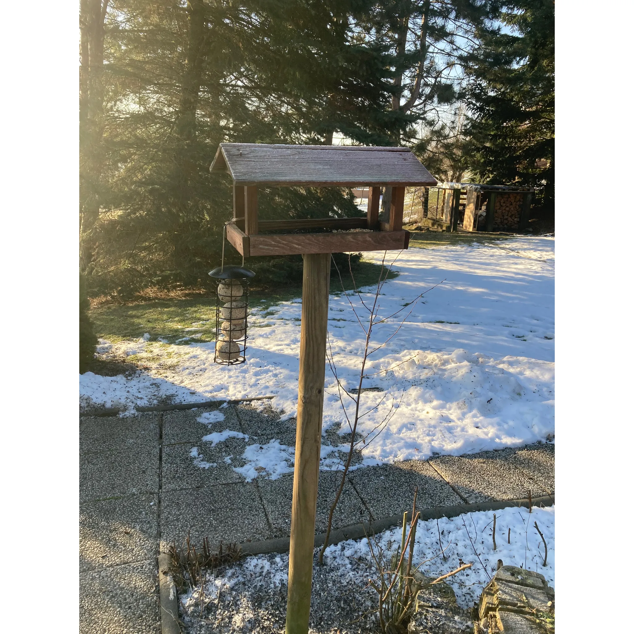 Fotografie 6 - Krmivo pro ptáka Avicentra Slunečnice černá 500 g