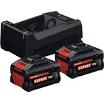 BOSCH Expert 1600A0373P 18 V 2x 5,5 Ah