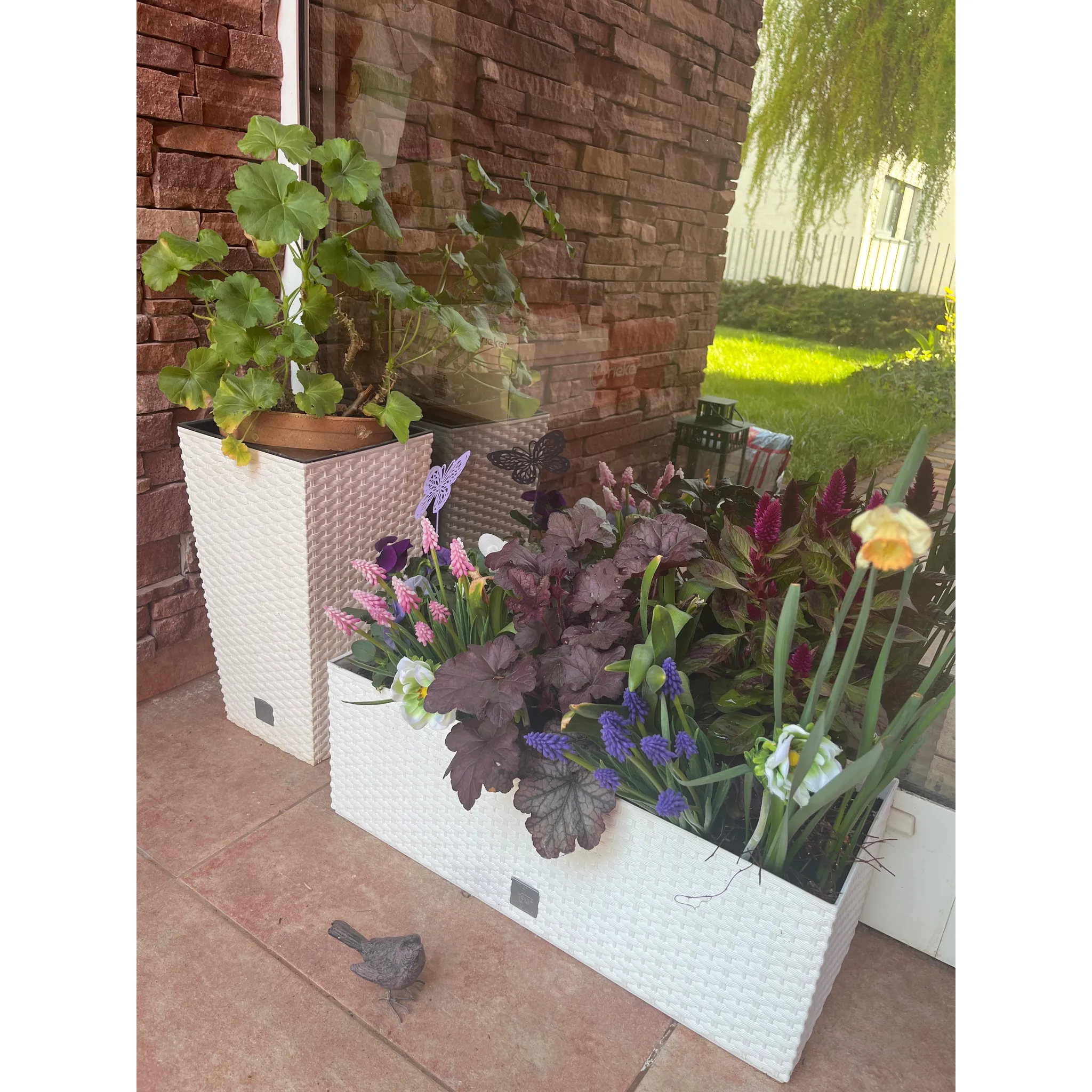 Fotografie 4 - Truhlík Prosperplast Rato Case truhlík 51,4 cm hnědý