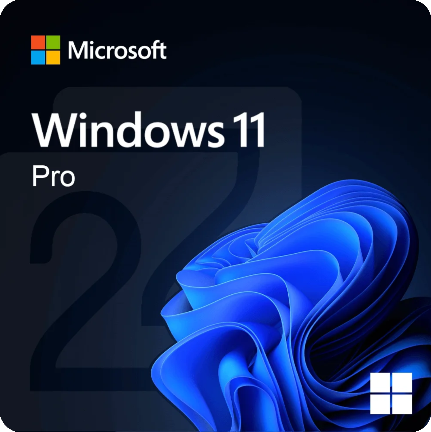 Microsoft Windows 11 Pro