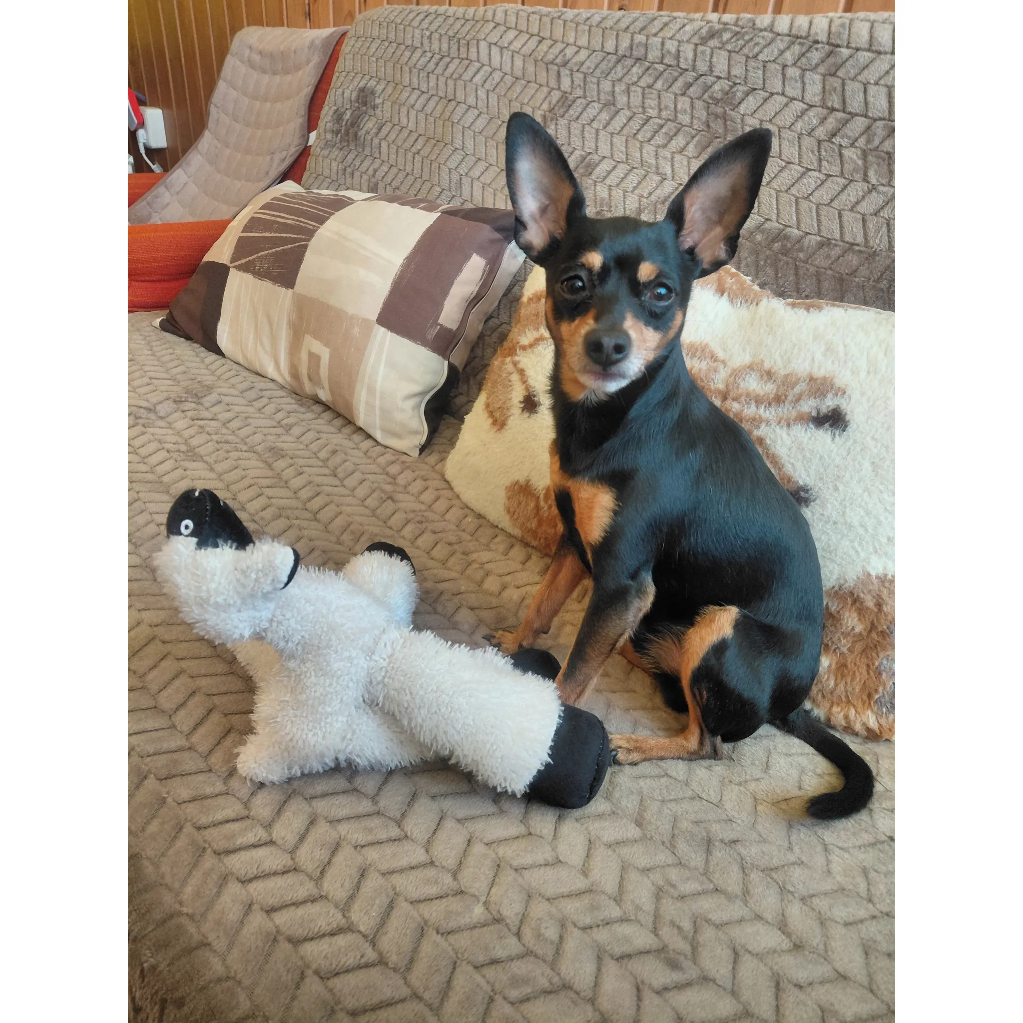 Fotografie 5 - Hračka pro psa Trixie Lama plyš 30 cm