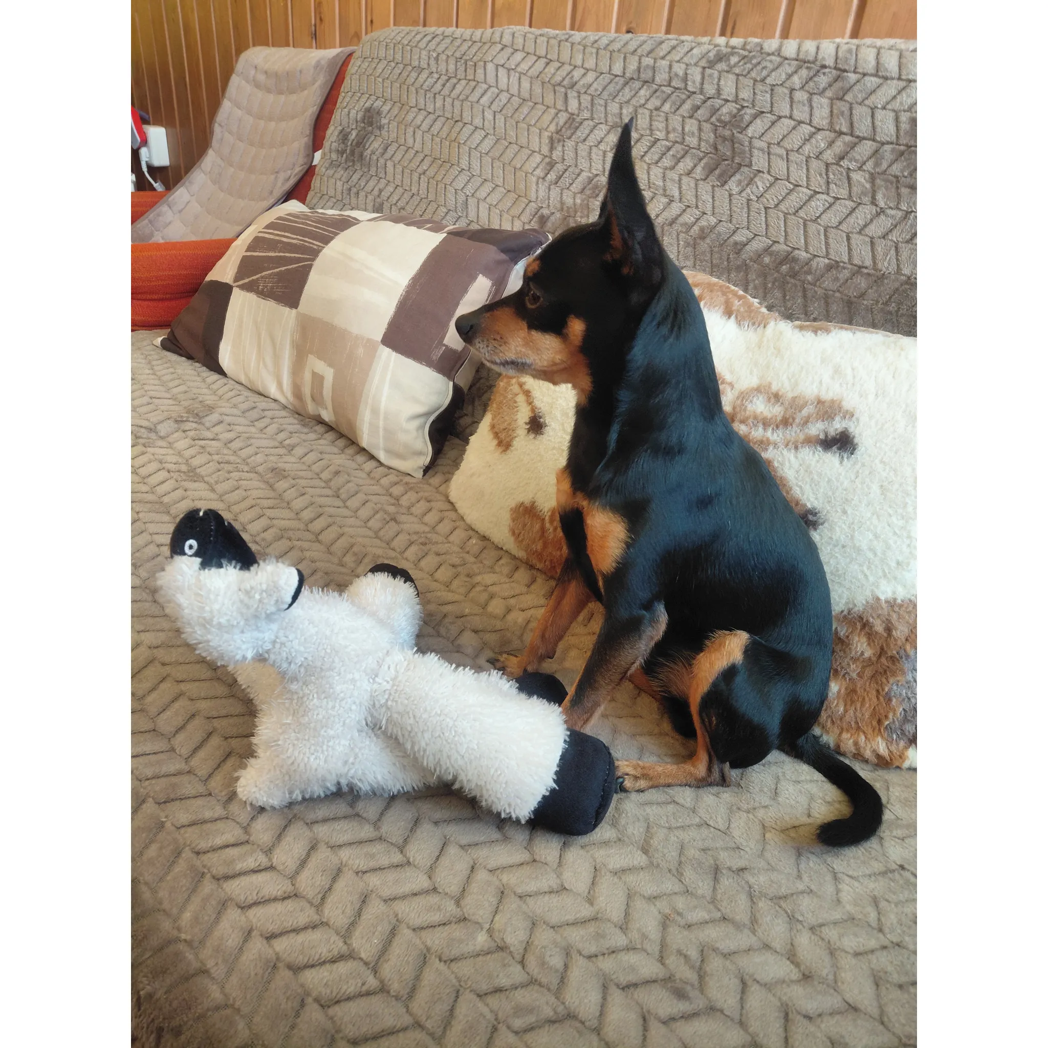 Fotografie 4 - Hračka pro psa Trixie Lama plyš 30 cm