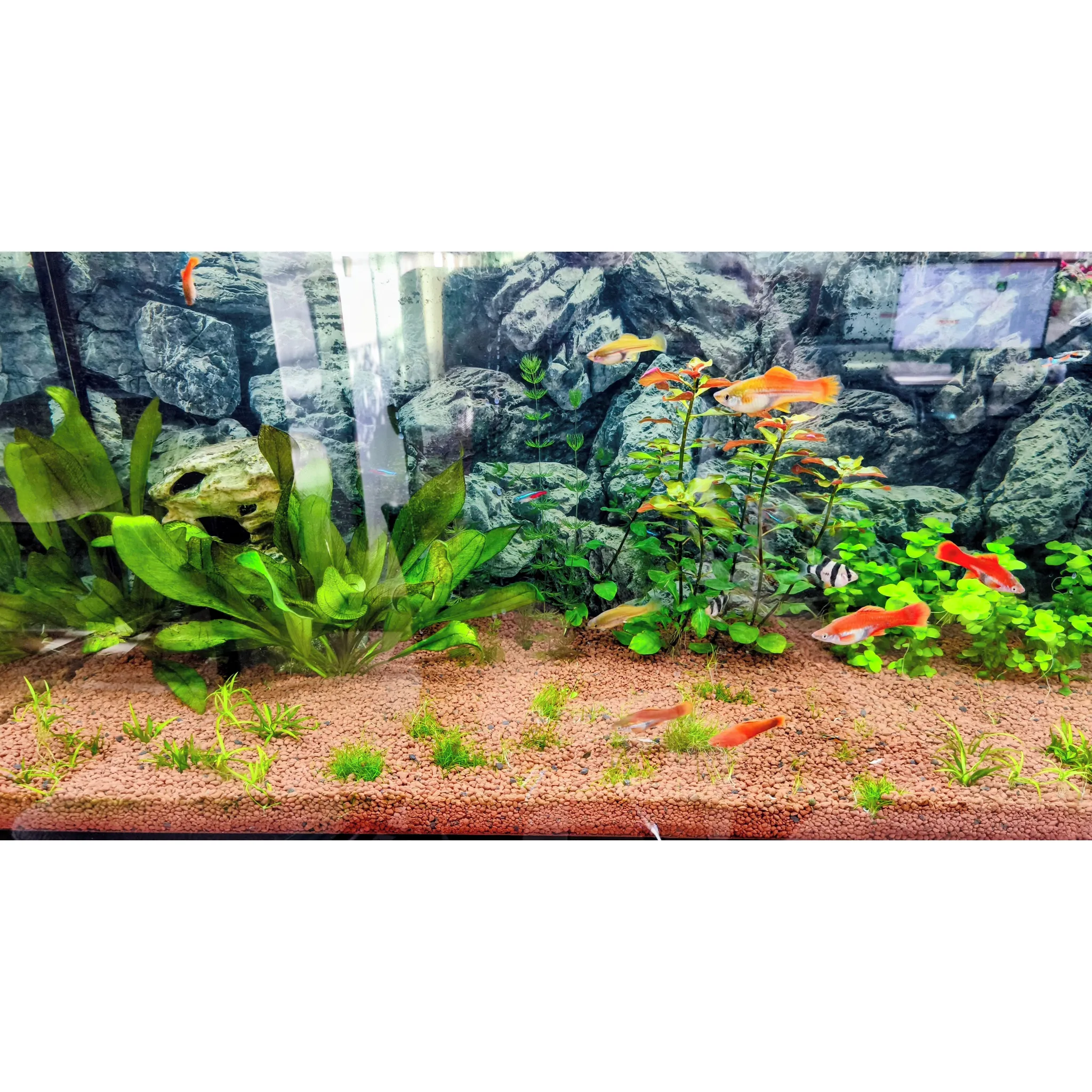 Fotografie 2 -  Unisoil Akvarijní substrát hnědý 5 l