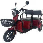 Racceway E-Bus