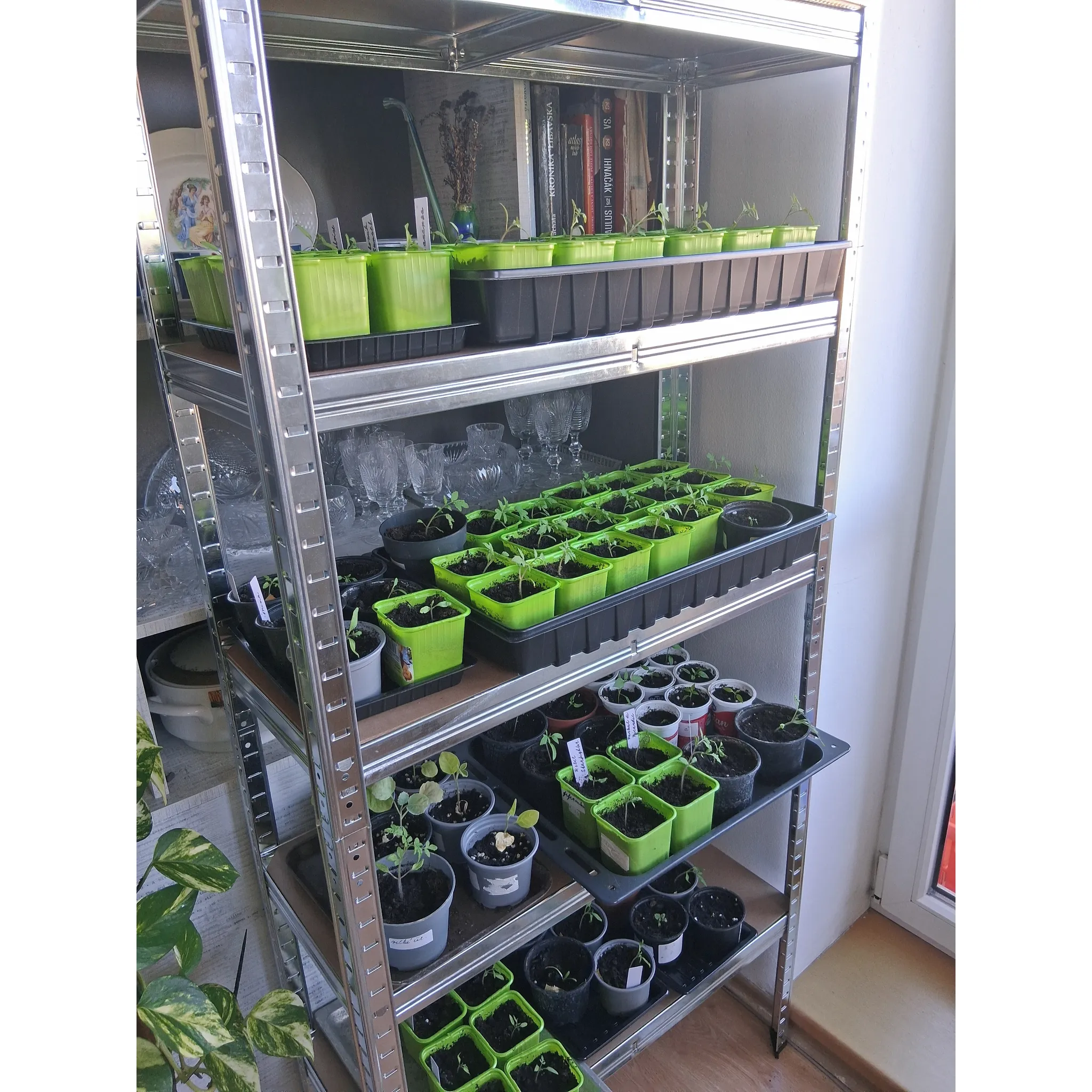 Fotografie 2 - Dílenský regál Fieldmann FDR 1800 90 x 40 x 180 cm 5 polic