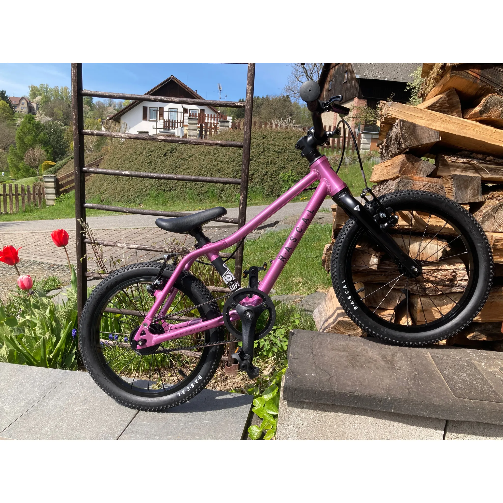 Fotografie 2 - Dětské kolo Rascal Dětské kolo 16" 2024 Raspberry