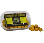 Carp Servis Václavík Rohlíkové boilies…