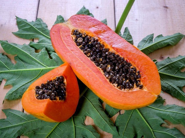 Papája - Carica papaya SUNNYBEES®