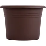 Plastia Narcis 60 cm