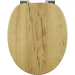 AWD Interior Amargura AWD02181977