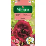 Vilmorin Mák vlčí Pandora 0,1 g