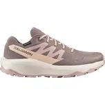 Salomon Outscape Gore-Tex W L49145200