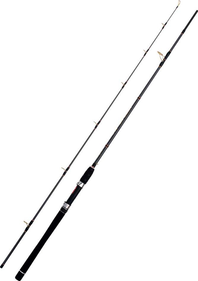WFT prut SEA Sparrow Dorsch Jigger 2.20m 40-160g, 2 díl