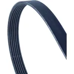 Continental CTAM 6PK1033 ELAST