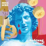 Achtung, Sultan - První hoře [CD]