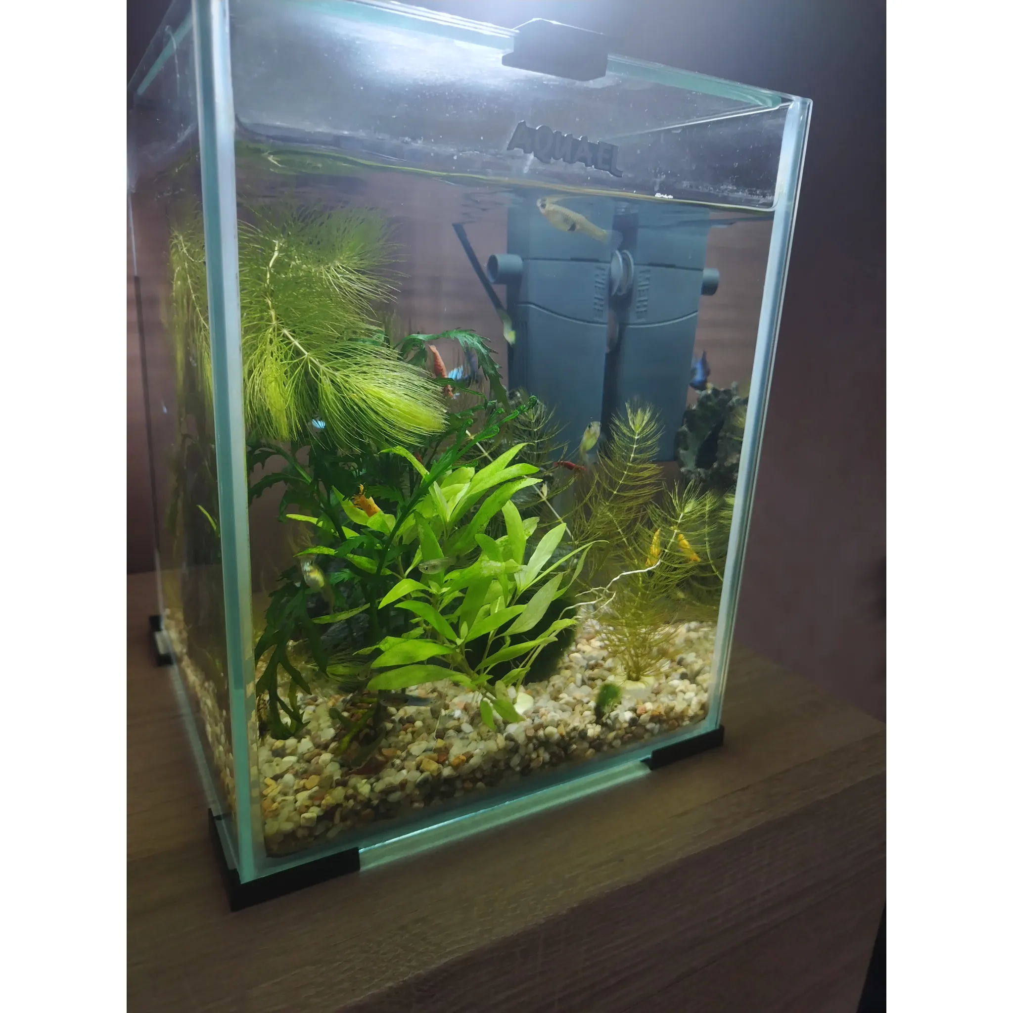 Fotografie 2 - Akvarijní filtr EHEIM Mini UP