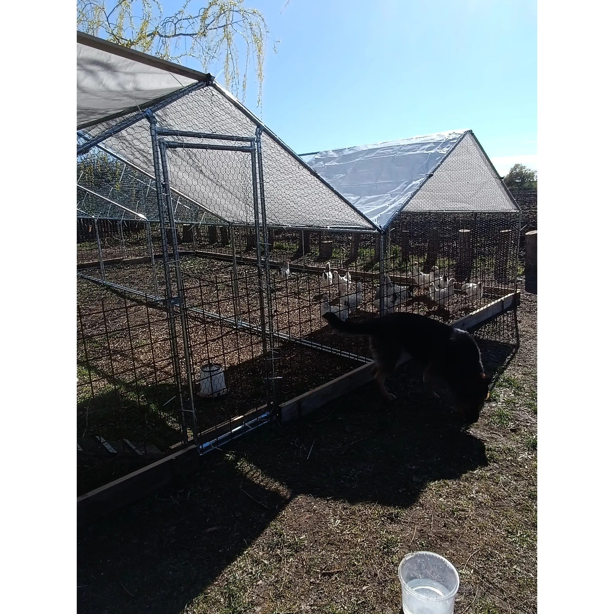 Fotografie 4 -  Agrofortel Venkovní klec s plachtou sedlová střecha 3 x 1 x 1 m