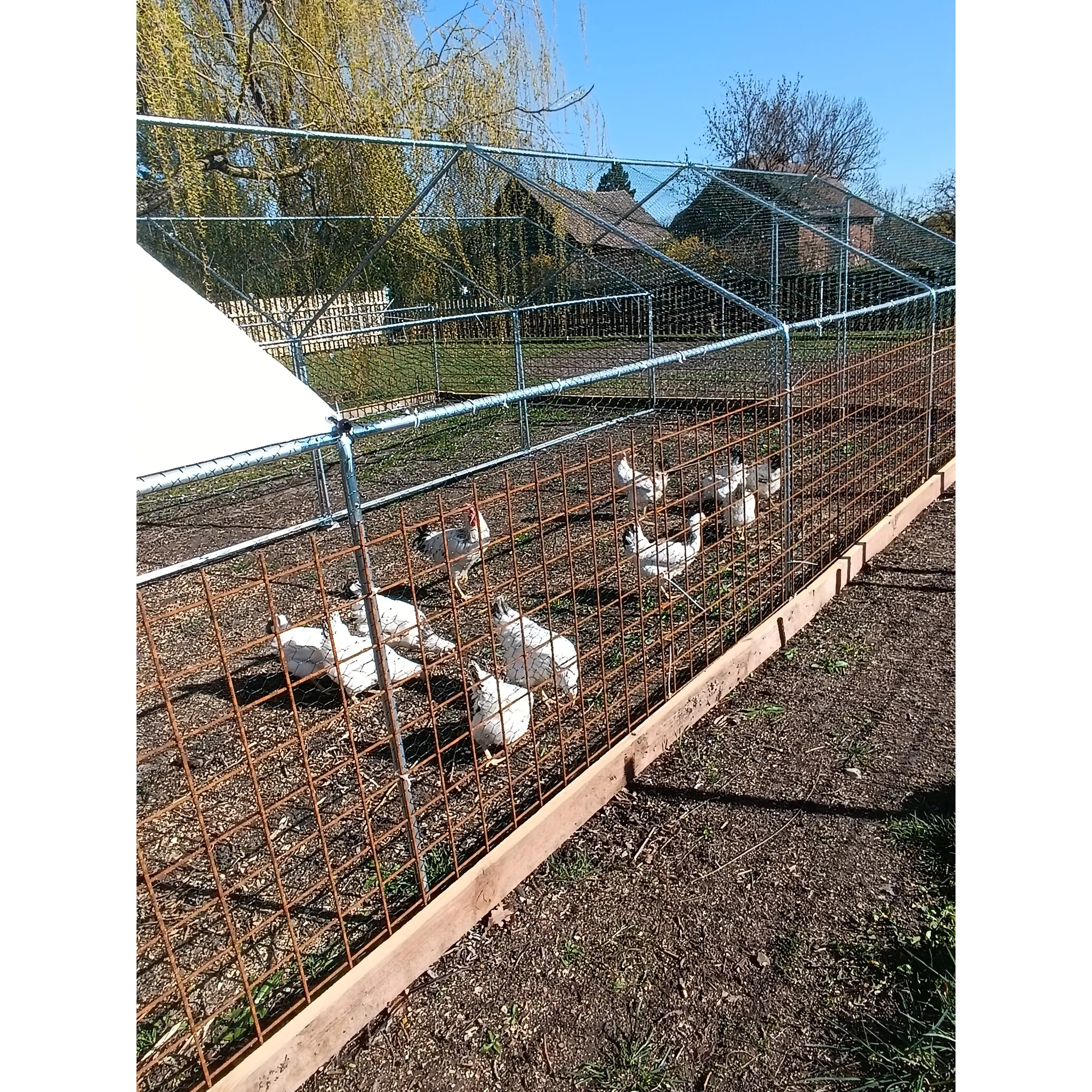 Fotografie 2 -  Agrofortel Venkovní klec s plachtou sedlová střecha 3 x 1 x 1 m