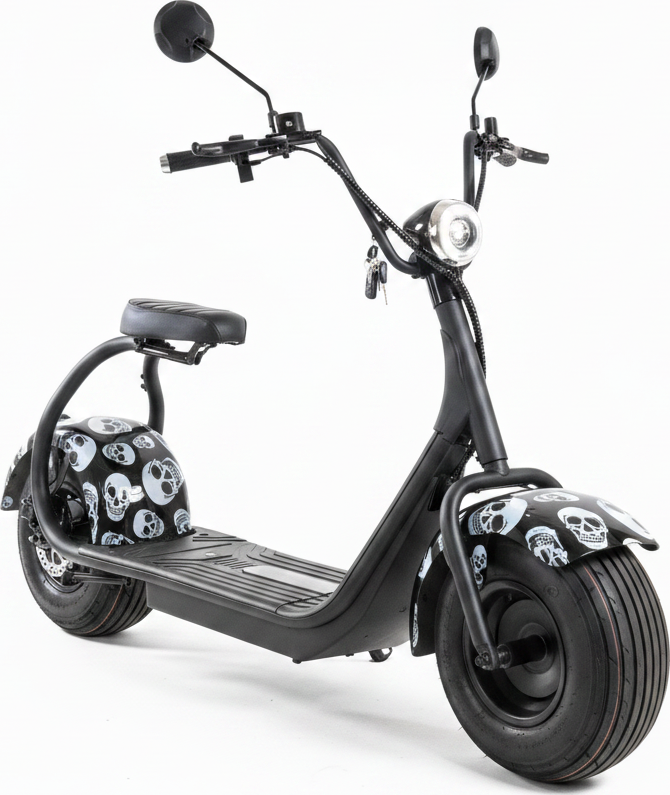 Elektrokoloběžka Sport 1000W - 200 kg nosnost, displej, alarm, lebka