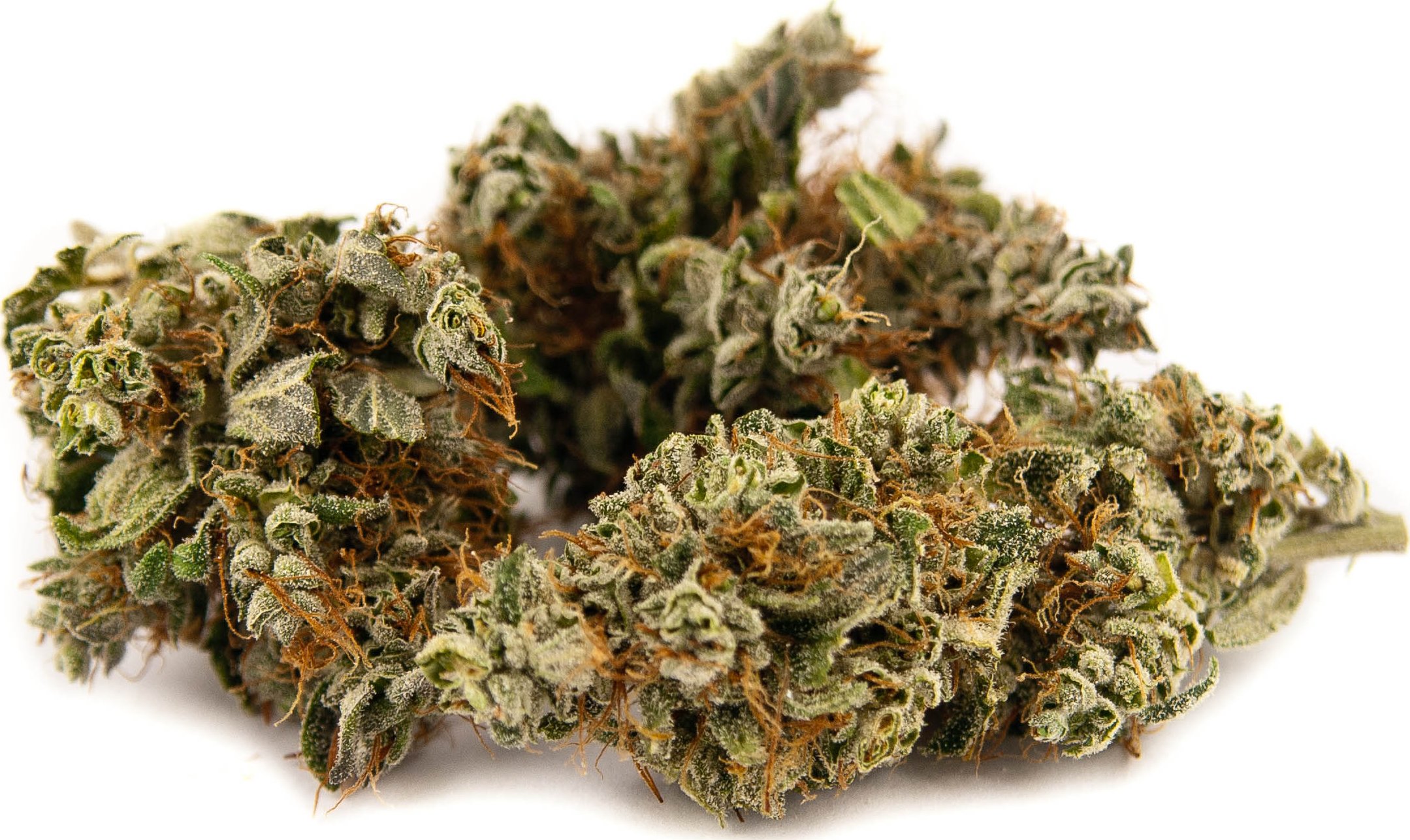 CBG konopí - 2 gramy - Weedshop - 0,18% THC Váha: 2 g