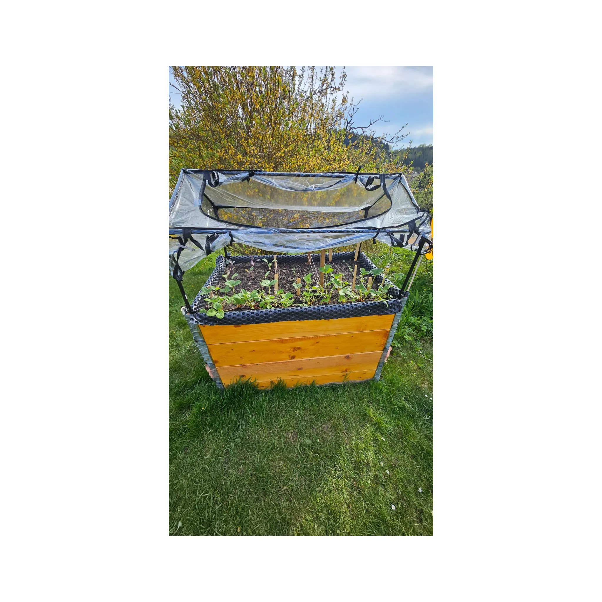 Fotografie 5 - Fóliovník FLO GRE 90003 fóliovník na rajčata 0,6 x 0,8 x 1,2 m