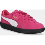 PUMA Palermo Team 396463-45
