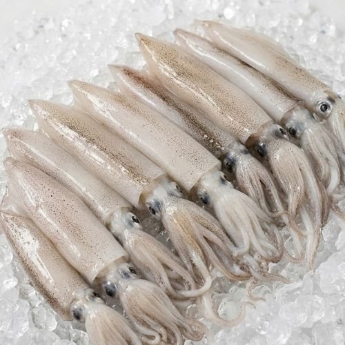 Kalamáry kalifornské 10/14 Premium 500 g | USA