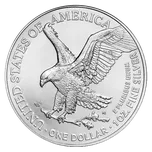 U.S. Mint American Eagle 2026 1 Oz 31,1…