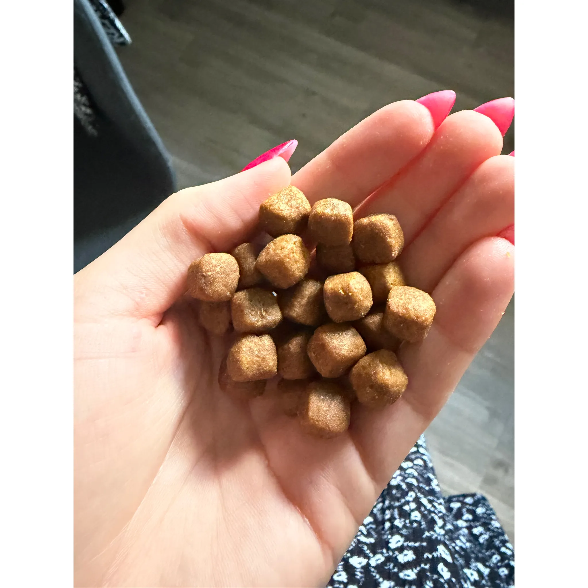 Fotografie 19 - Krmivo pro kočku Royal Canin Maine Coon Adult granule 400 g
