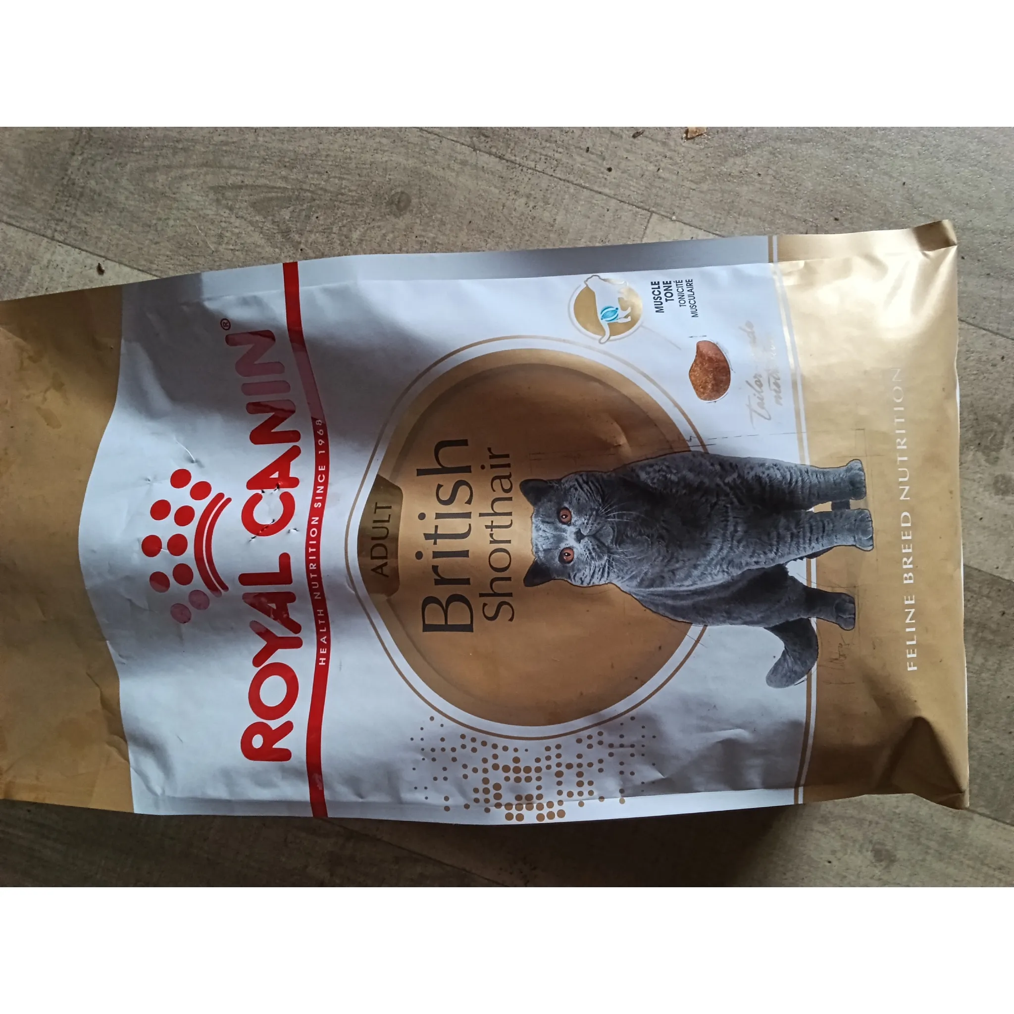 Fotografie 2 - Krmivo pro kočku Royal Canin British Shorthair Adult granule 400 g