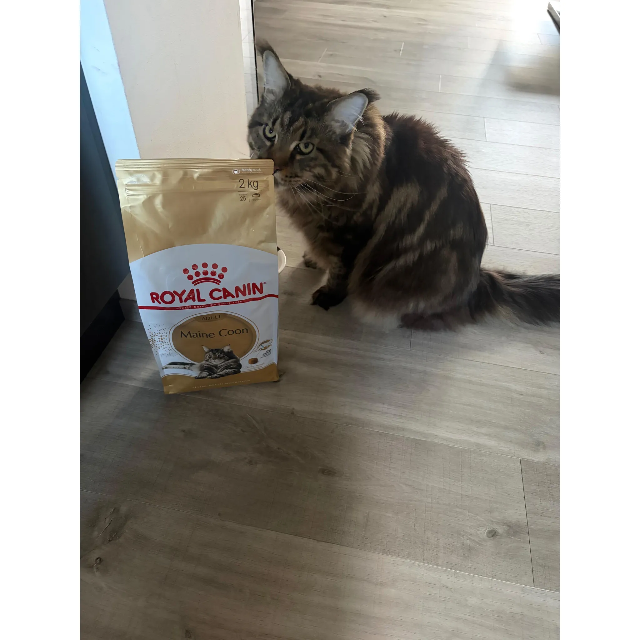 Fotografie 18 - Krmivo pro kočku Royal Canin Maine Coon Adult granule 400 g