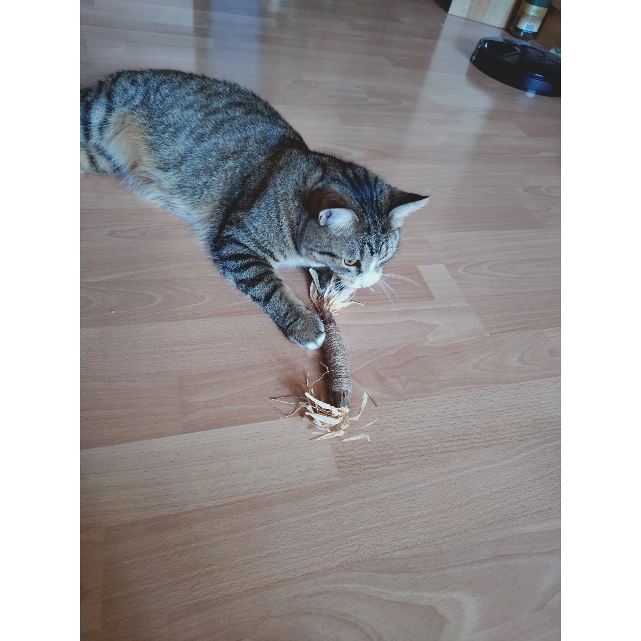 Fotografie 6 - Hračka pro kočku Trixie Matatabi tyčka s třásněmi 24 cm