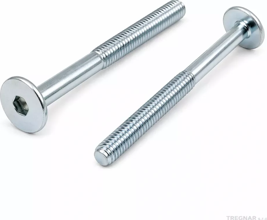 Nábytkářský šroub typ BB 17 M6 × 80, Balení 100 ks