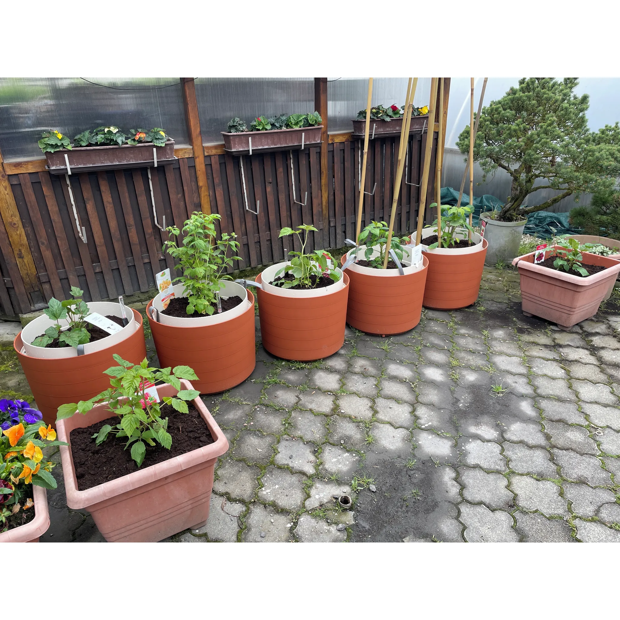 Fotografie 4 - Květináč Plastia Berberis 55 cm antracit/slonová kost