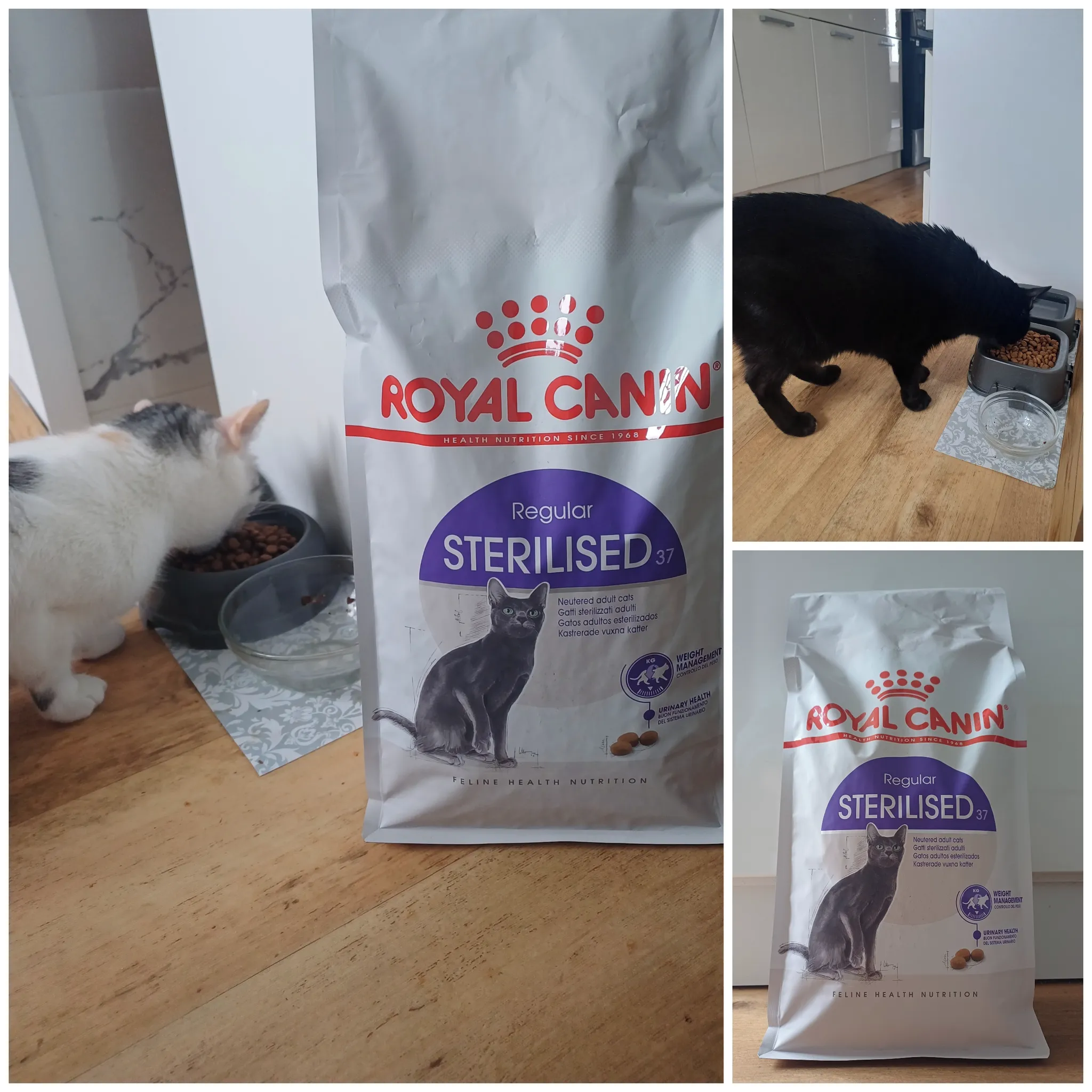 Fotografie 11 - Krmivo pro kočku Royal Canin Regular Sterilised 37 2 kg
