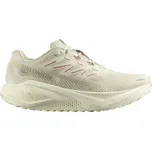 Salomon Aero Blaze 3 Grvl L47915100 42