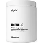 Vilgain Tribulus 120 cps.