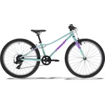 Amulet Tomcat 24" 2026 Celeste…