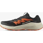 Salomon Alphaglide L47801100 42