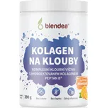 Blendea Kolagen na klouby 390 g pomeranč