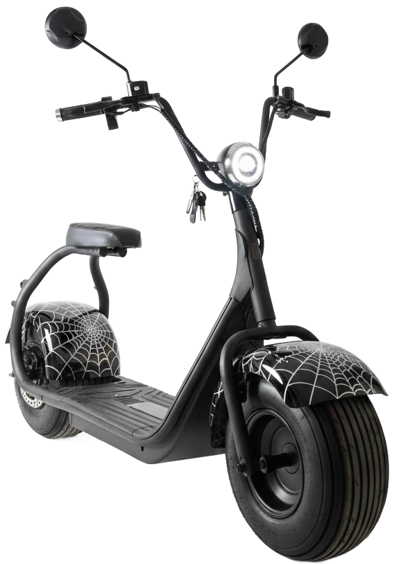 Elektrokoloběžka Sport 1000W 200 kg nosnost, displej, alarm, pavučina