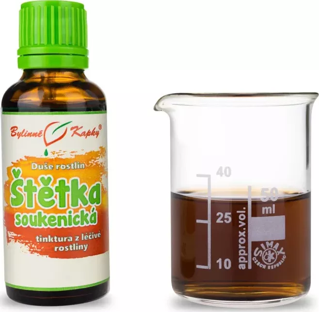 Bylinné kapky s.r.o. Štětka soukenická tinktura 50 ml | Bylinné kapky