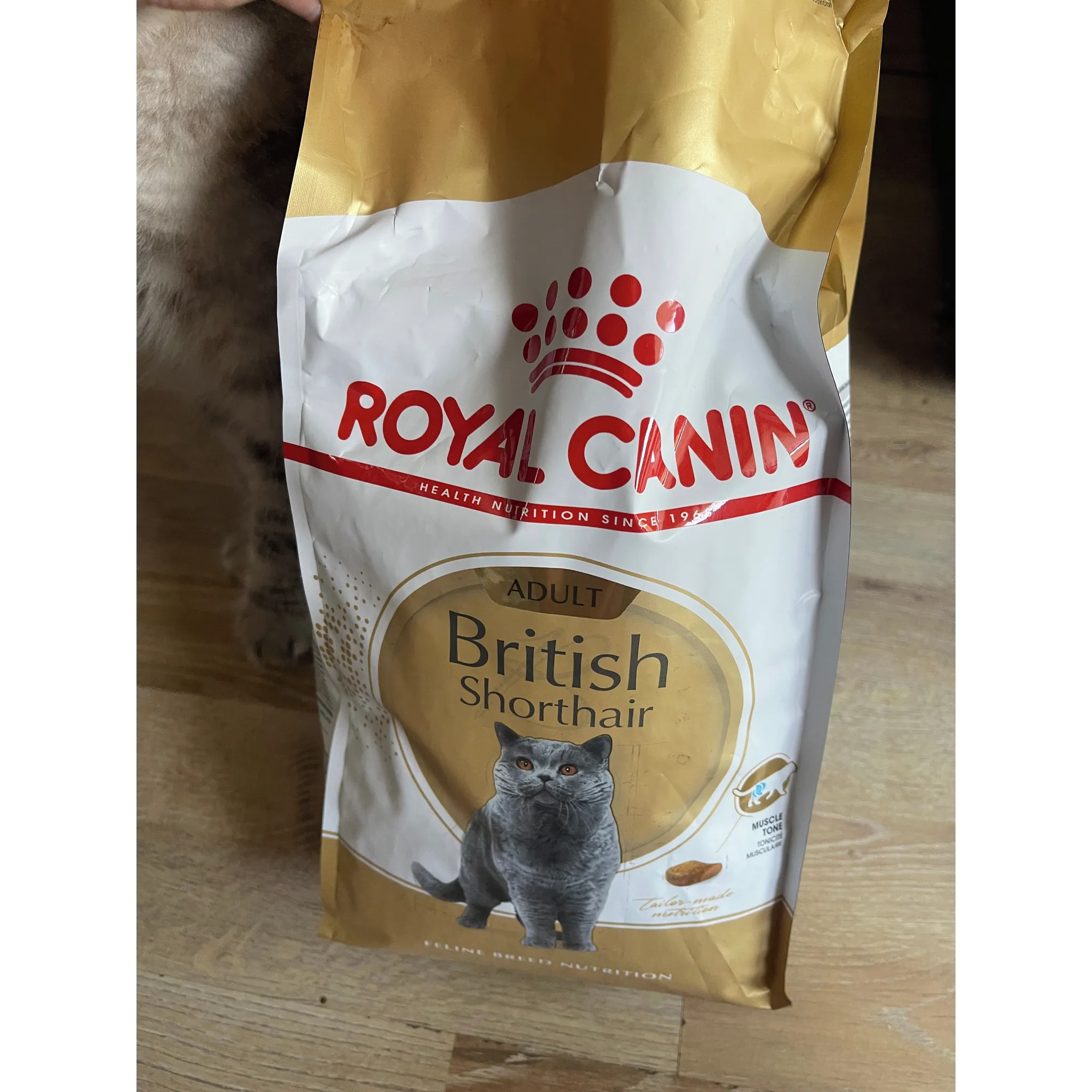 Fotografie 11 - Krmivo pro kočku Royal Canin British Shorthair Adult granule 2 kg